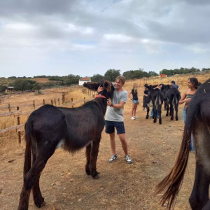 Donkey Sanctuary Visits